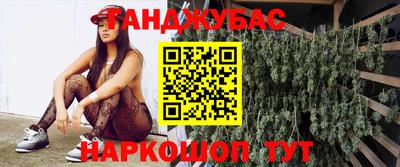 индика Конаково