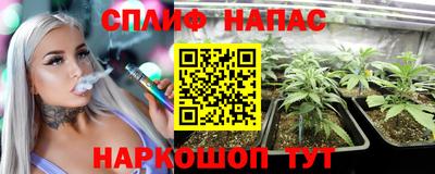 индика Конаково