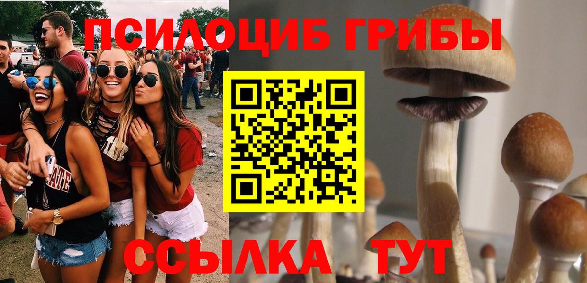 Галлюциногенные грибы GOLDEN TEACHER  Вход с VPN  Кизилюрт 